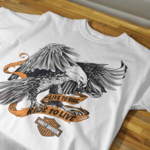 HARLEY DAVIDSON 08