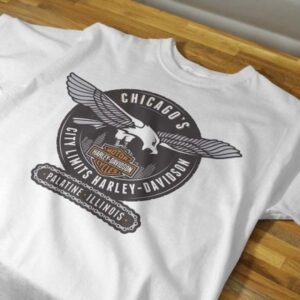 HARLEY DAVIDSON 17