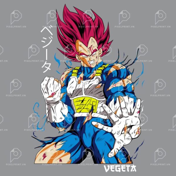 VEGETA (EX)